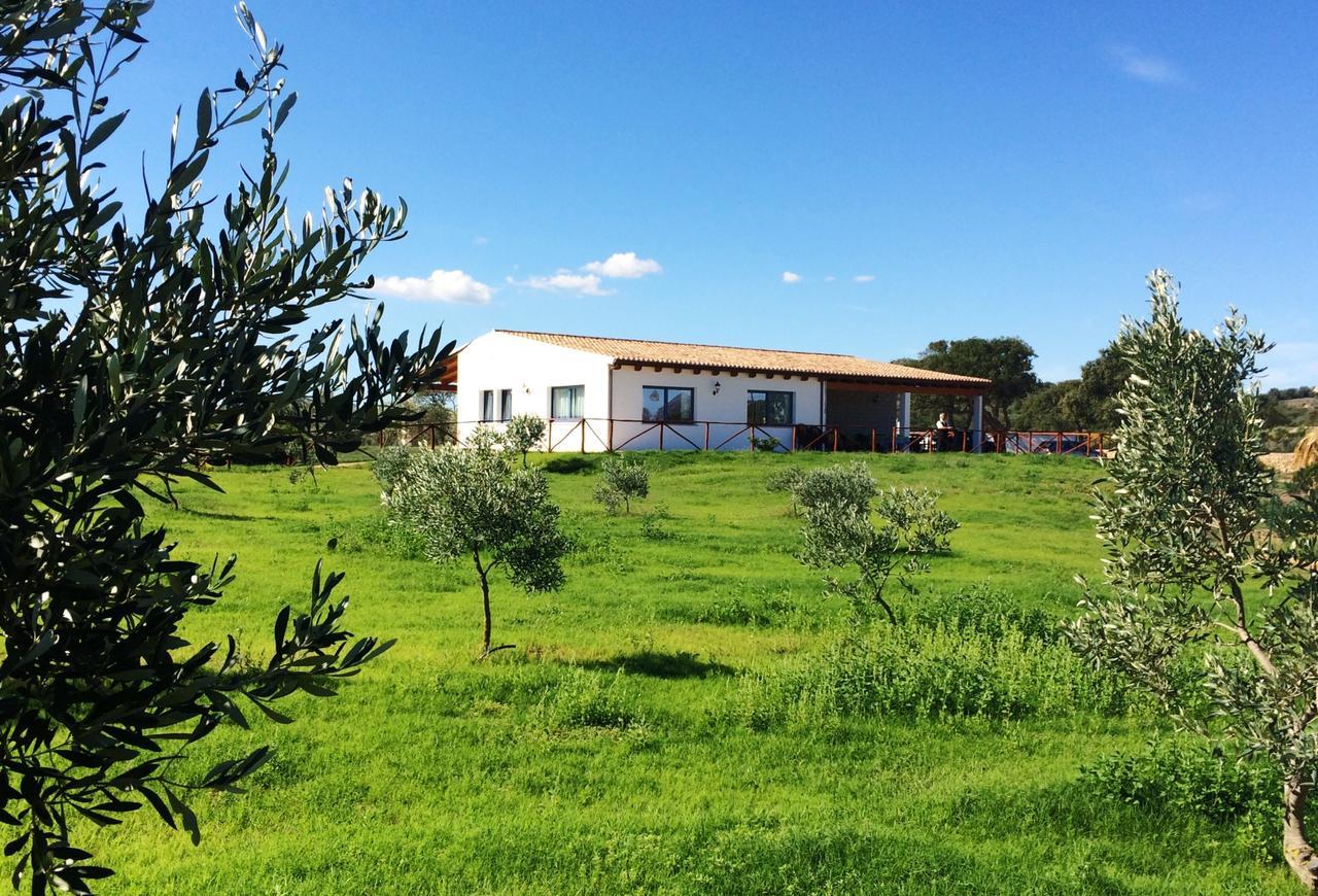 Agriturismo Mieleamaro Villa Olbia Exterior photo
