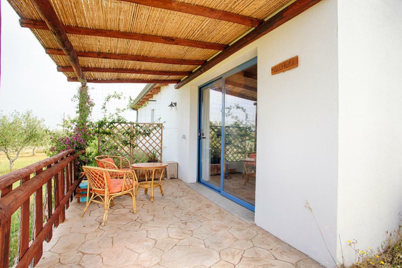 Agriturismo Mieleamaro Villa Olbia Exterior photo